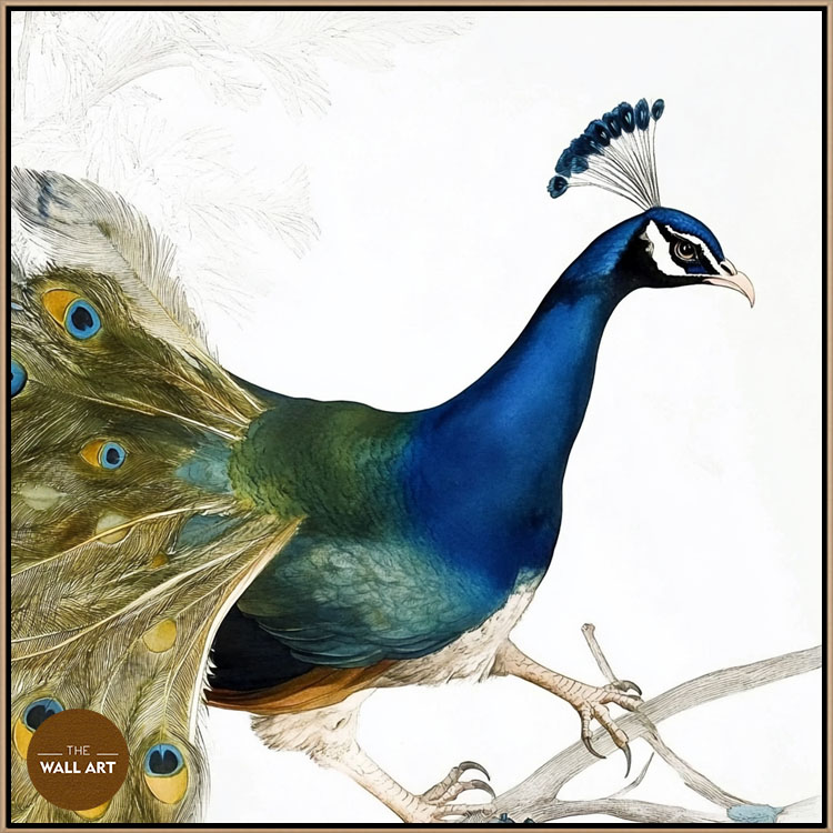 images/products/peacock_on_branch/peacock_on branch_OAK.jpg